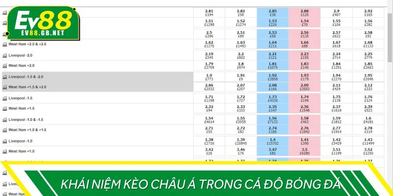 Khái niệm kèo châu Á trong cá độ bóng đá