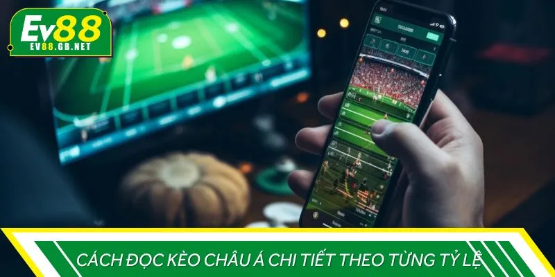 Cách đọc kèo châu Á chi tiết theo từng tỷ lệ